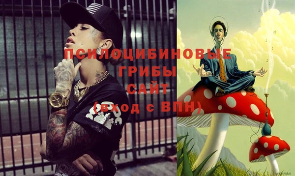 прущие крисы Кулебаки
