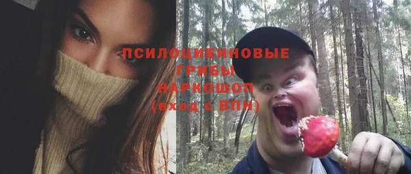 крисы Краснотурьинск