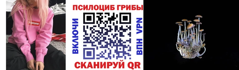 сколько стоит  Михайловка  Псилоцибиновые грибы Magic Shrooms 