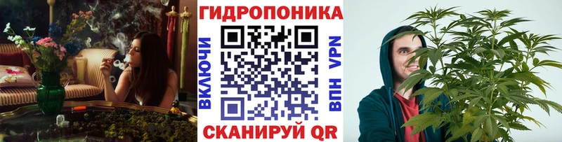 Конопля планчик Михайловка